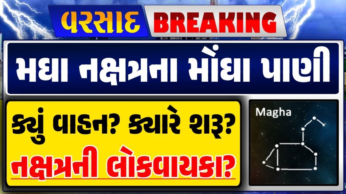 Magha Nakshatra, મઘા નક્ષત્ર, મઘા નક્ષત્ર ૨૦૨૪, Weather Forecast, પરેશ ગોસ્વામી, Ambalal Patel Weather Alert, Prediction of Paresh Goswami, Thunderstorm Forecast Change: Thunderstorm Forecast, Heavy Rain Forecast, Gujarat Rain Alert Gujarat Rain Forecast Whether News, વરસાદ આગાહી, અંબાલાલ પટેલ, પરેશ ગોસ્વામી, હવામાનની આગાહી, Gujarat Rain forecast