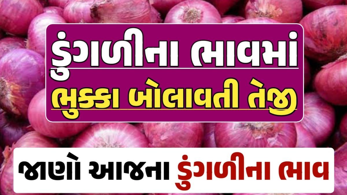 આજના ડુંગળીના ભાવ, ડુંગળી ભાવ, Onion Price 2024, ડુંગળીના ભાવ, ડુંગળીના બજાર ભાવ, Onion Rate, ડુંગળીના બજાર ભાવ 2024 Loksahay.com