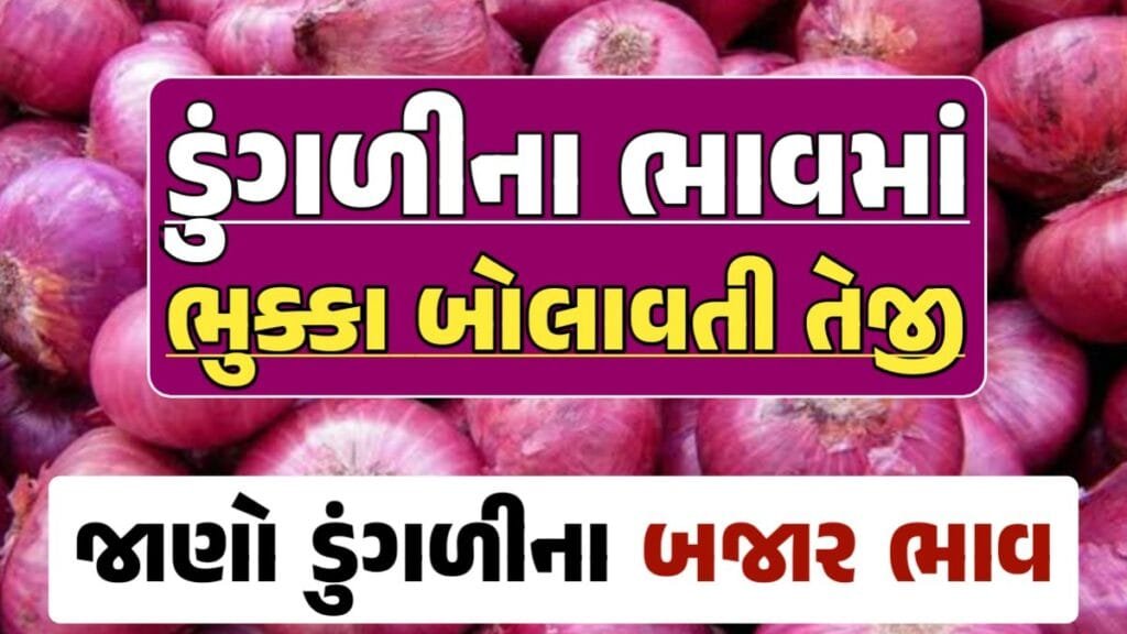 આજના ડુંગળીના ભાવ, ડુંગળી ભાવ, Onion Price 2024, ડુંગળીના ભાવ, ડુંગળીના બજાર ભાવ, Onion Rate, ડુંગળીના બજાર ભાવ 2024 Loksahay.com