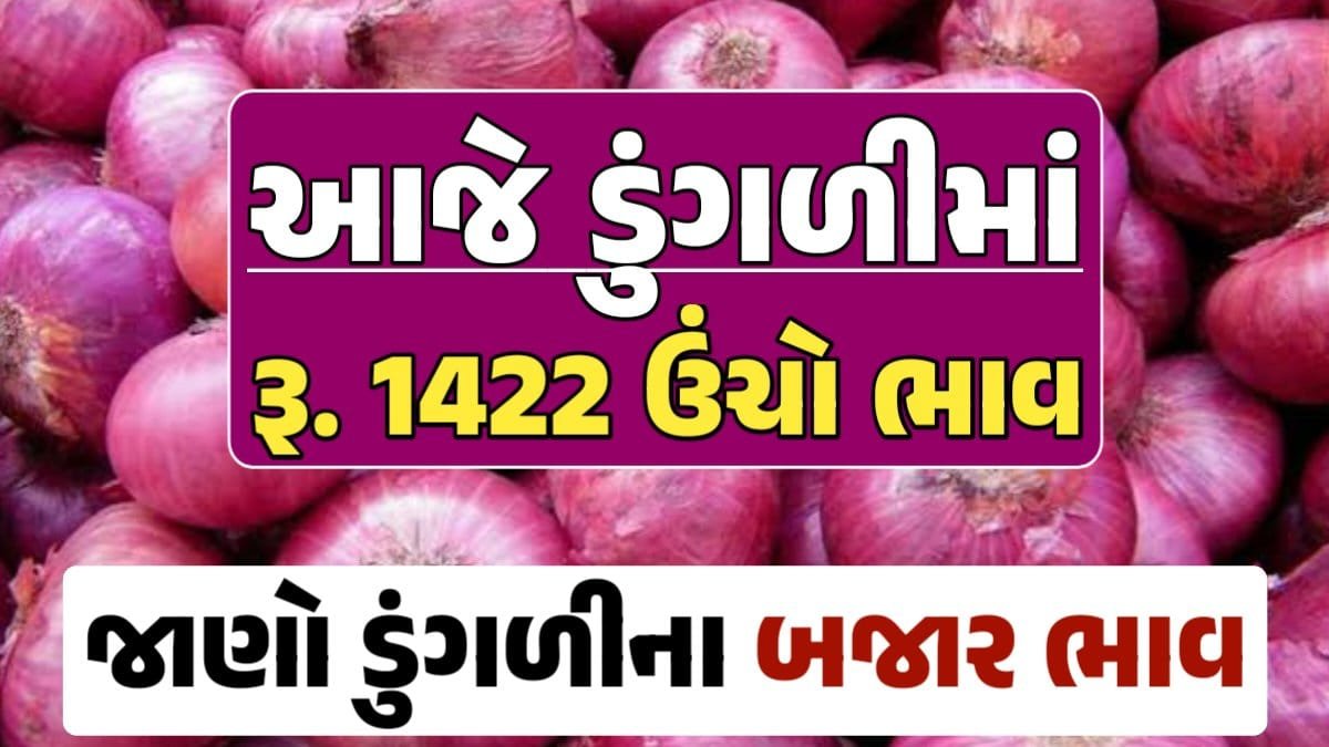 આજના ડુંગળીના ભાવ, ડુંગળી ભાવ, Onion Price 2024, ડુંગળીના ભાવ, ડુંગળીના બજાર ભાવ, Onion Rate, ડુંગળીના બજાર ભાવ 2024 Loksahay.com