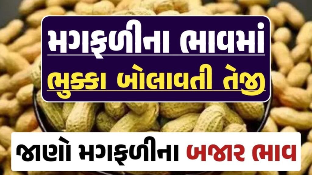 મગફળી