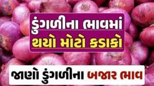 આજના ડુંગળીના ભાવ, ડુંગળી ભાવ, Onion Price 2024, ડુંગળીના ભાવ, ડુંગળીના બજાર ભાવ, Onion Rate, ડુંગળીના બજાર ભાવ 2024 Loksahay.com