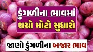 આજના ડુંગળીના ભાવ, ડુંગળી ભાવ, Onion Price 2024, ડુંગળીના ભાવ, ડુંગળીના બજાર ભાવ, Onion Rate, ડુંગળીના બજાર ભાવ 2024 Loksahay.com