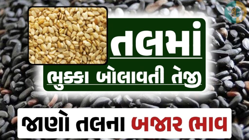 તલ